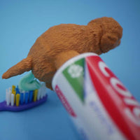 Funny Toothpaste Dispenser