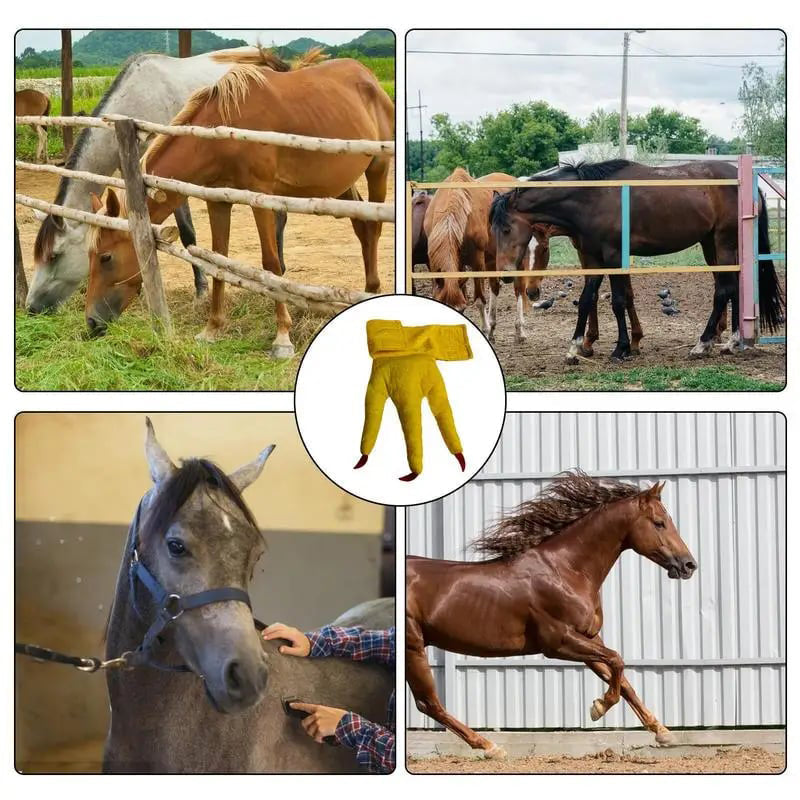 Funny Feet For Horse