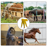 Funny Feet For Horse