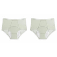 🔥Hot Sale🔥High Waist Leak Proof Ice Silk Panties Plus Size