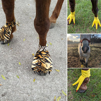 Funny Feet For Horse