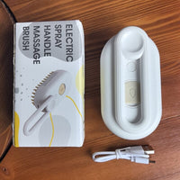 🐶Pet Spray Comb