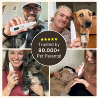 3-in-1 Dog Grooming Trimmer