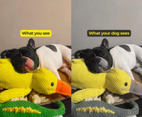 Calming Duck Dog Toy