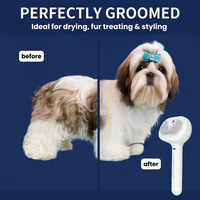 Gentle 3-in-1 Pet Steam Brush