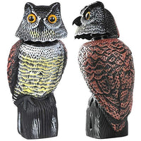 Shaking Head Owl