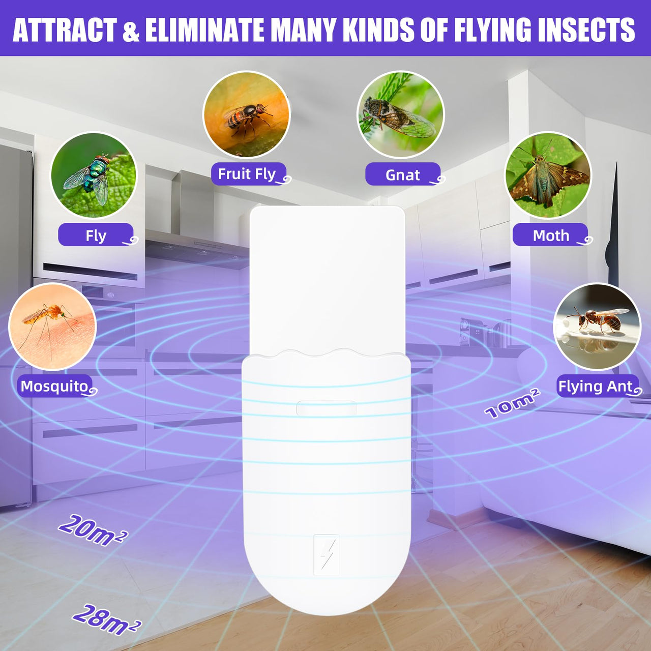 Plug-in Flying Insect Trap with Light