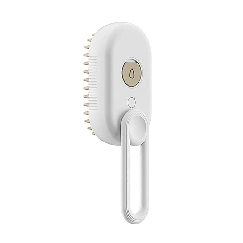🐶Pet Spray Comb